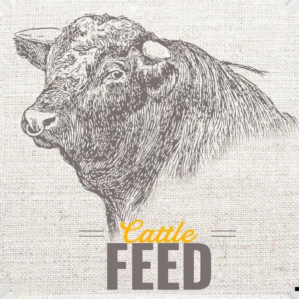 Livestock Feed