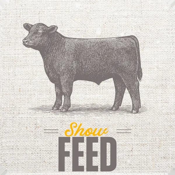 Show Feed